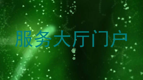 服务大厅门户