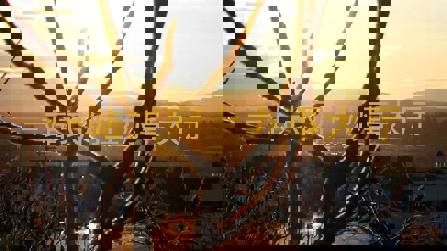 一站式网上办事大厅