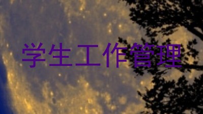 学生工作管理