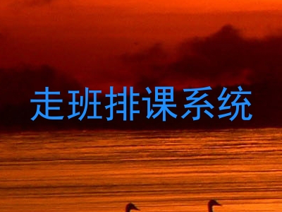 走班排课系统