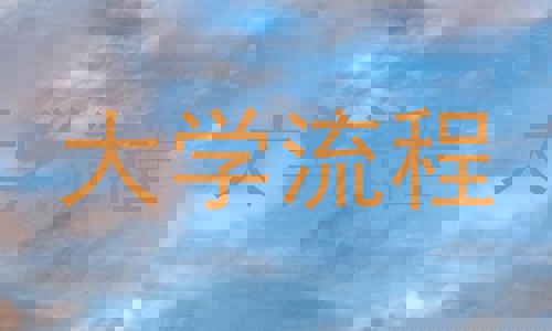 大学流程