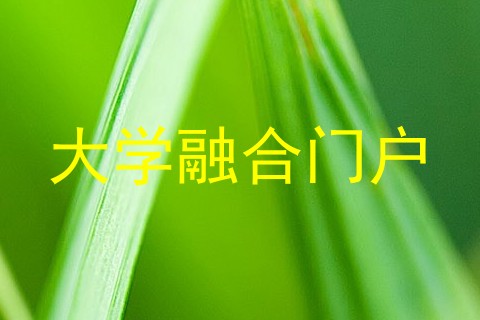 大学融合门户