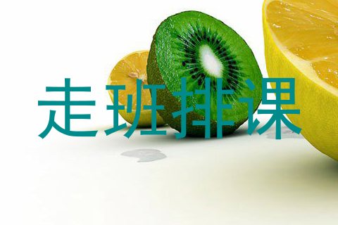 走班排课