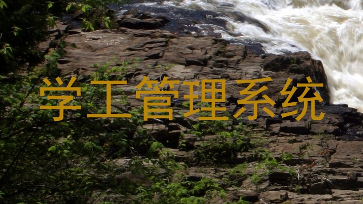 学工管理系统