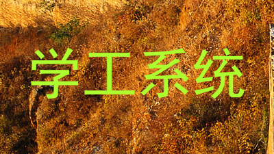 学工系统