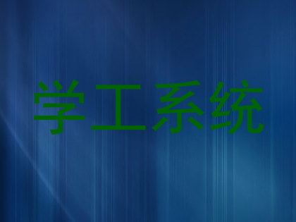 学工系统