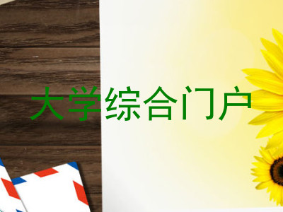 大学综合门户