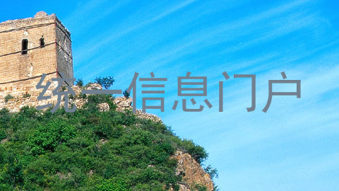 统一信息门户