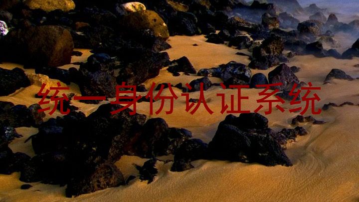 统一身份认证系统
