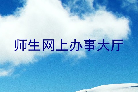 师生网上办事大厅