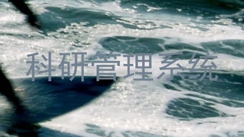 科研管理系统