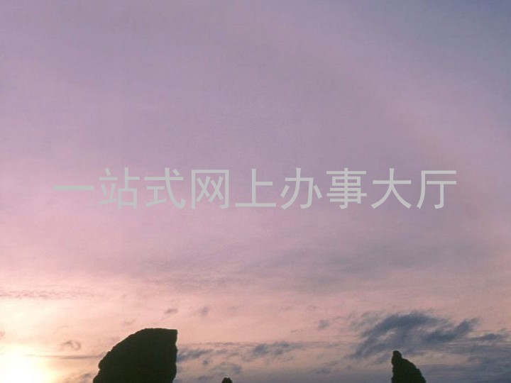 一站式网上办事大厅