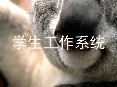 学生工作系统