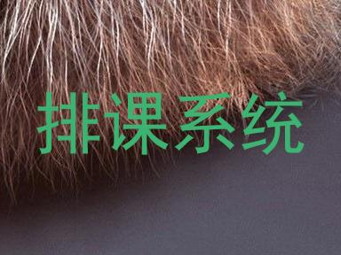 排课系统