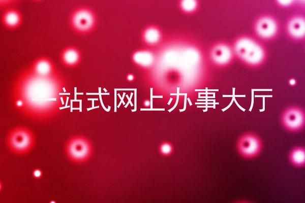 一站式网上办事大厅