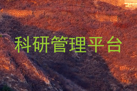 科研管理平台