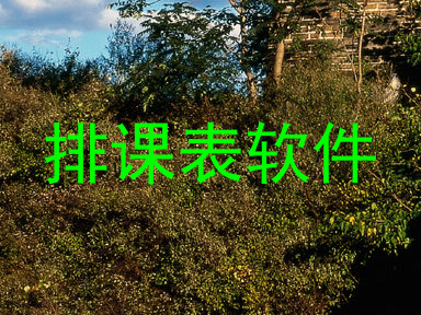 排课表软件