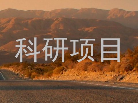科研项目