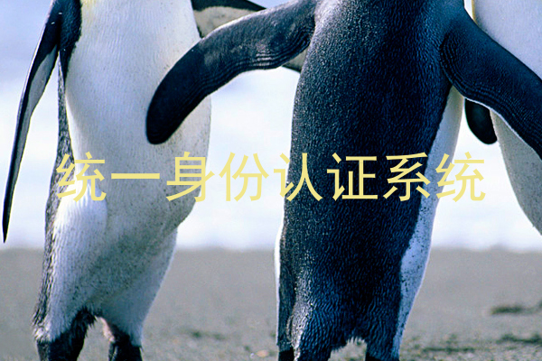 统一身份认证系统