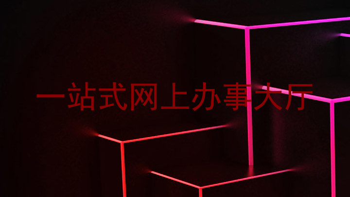 一站式网上办事大厅