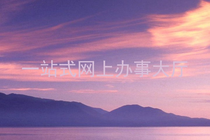 一站式网上办事大厅