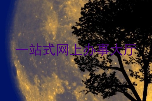 一站式网上办事大厅