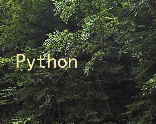 Python