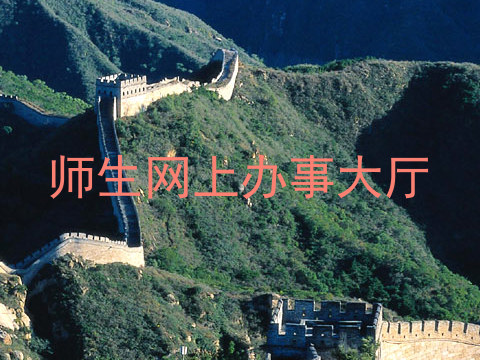 师生网上办事大厅