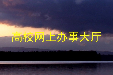 高校网上办事大厅