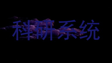 科研系统