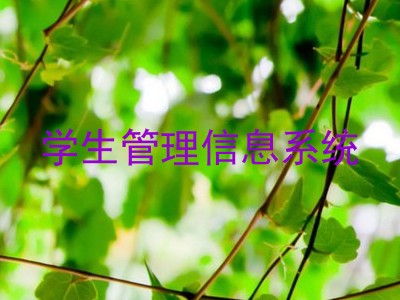 学生管理信息系统
