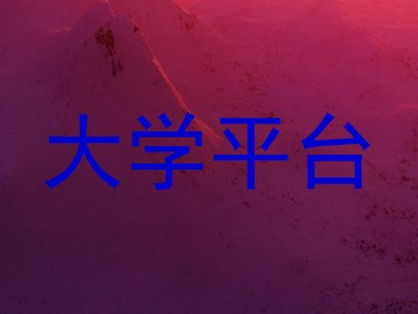 大学平台