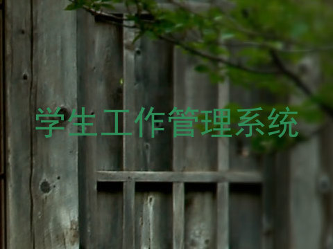 学生工作管理系统