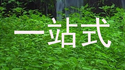一站式