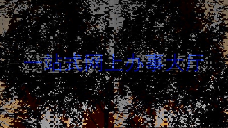 一站式网上办事大厅