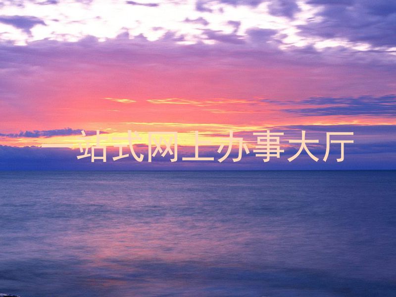 一站式网上办事大厅