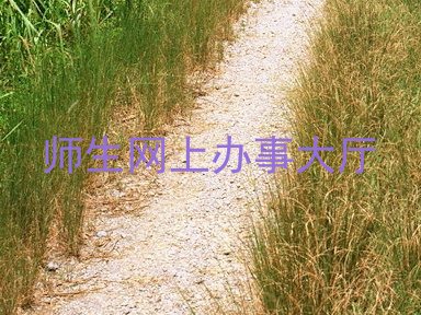 师生网上办事大厅