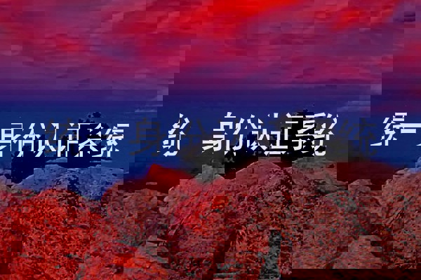 统一身份认证系统