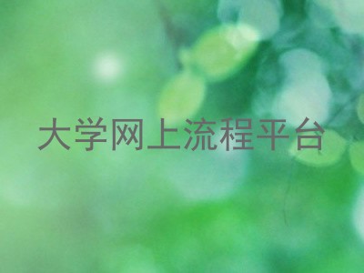 大学网上流程平台