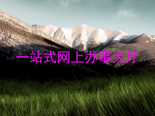 一站式网上办事大厅