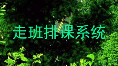 走班排课系统