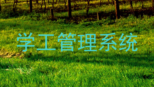 学工管理系统