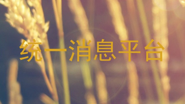 统一消息平台
