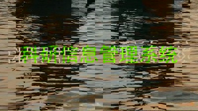 科研信息管理系统