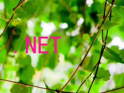 .NET