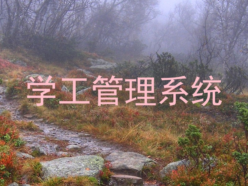 学工管理系统