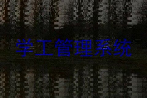 学工管理系统