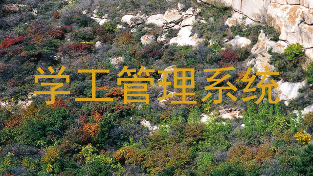 学工管理系统