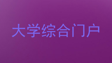 大学综合门户