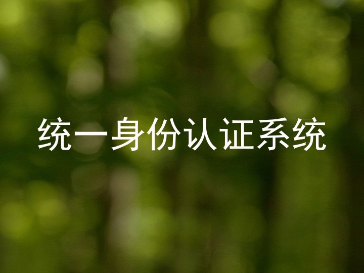 统一身份认证系统